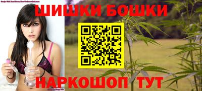 тгк Кингисепп