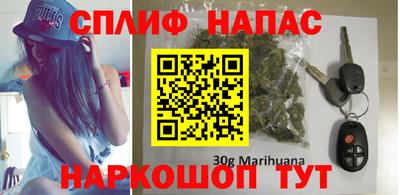 тгк Кингисепп