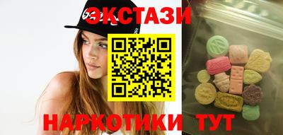 тгк Кингисепп