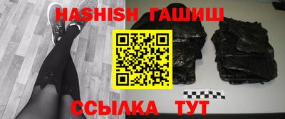 тгк Кингисепп