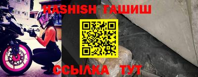 тгк Кингисепп