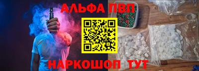 тгк Кингисепп