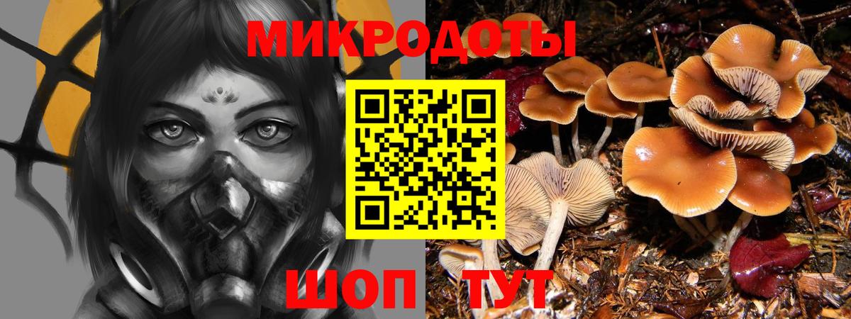 Галлюциногенные грибы MAGIC MUSHROOMS  Галлюциногенные грибы ЛСД  Вход с VPN  Конаково 