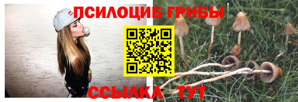 Псилоцибиновые грибы ЛСД Конаково
